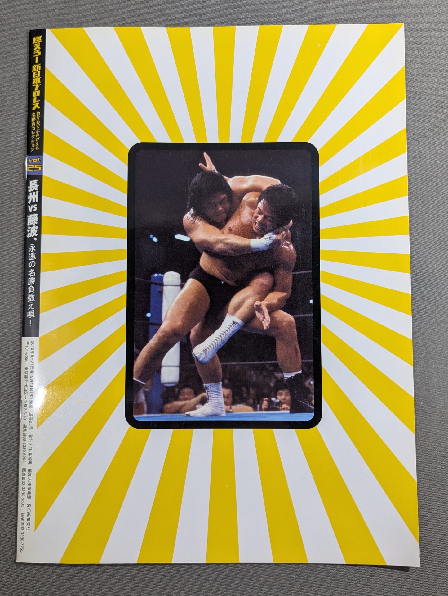 燃えろ!新日本プロレス vol.25