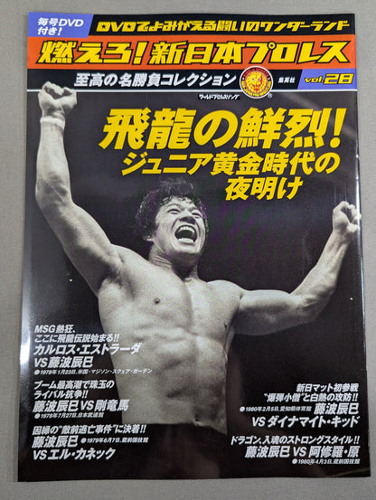 燃えろ!新日本プロレス vol.28