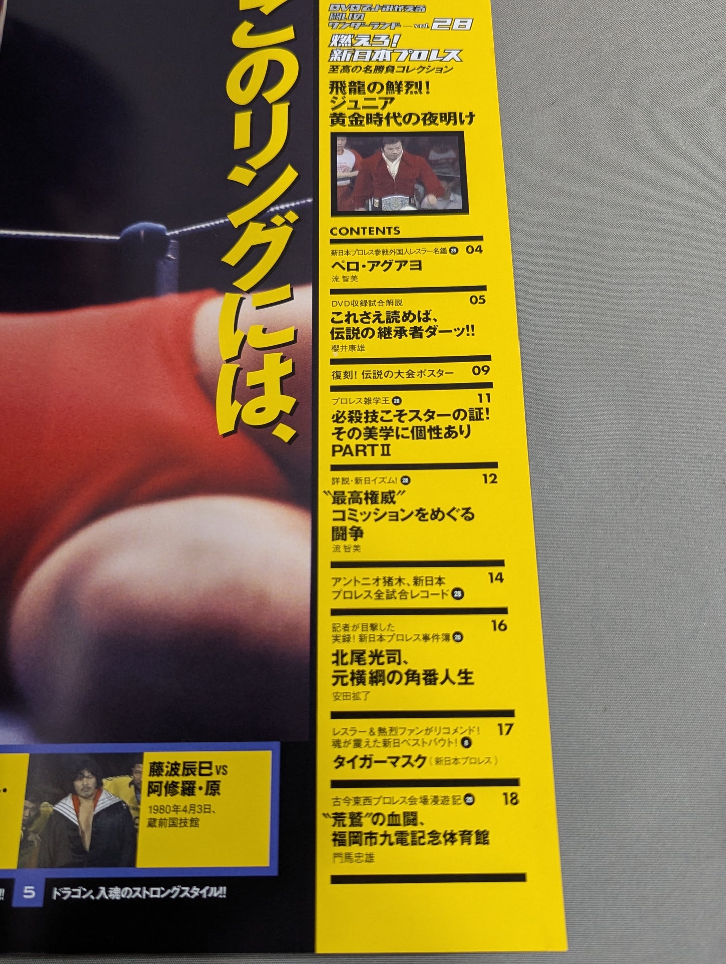 燃えろ!新日本プロレス vol.28