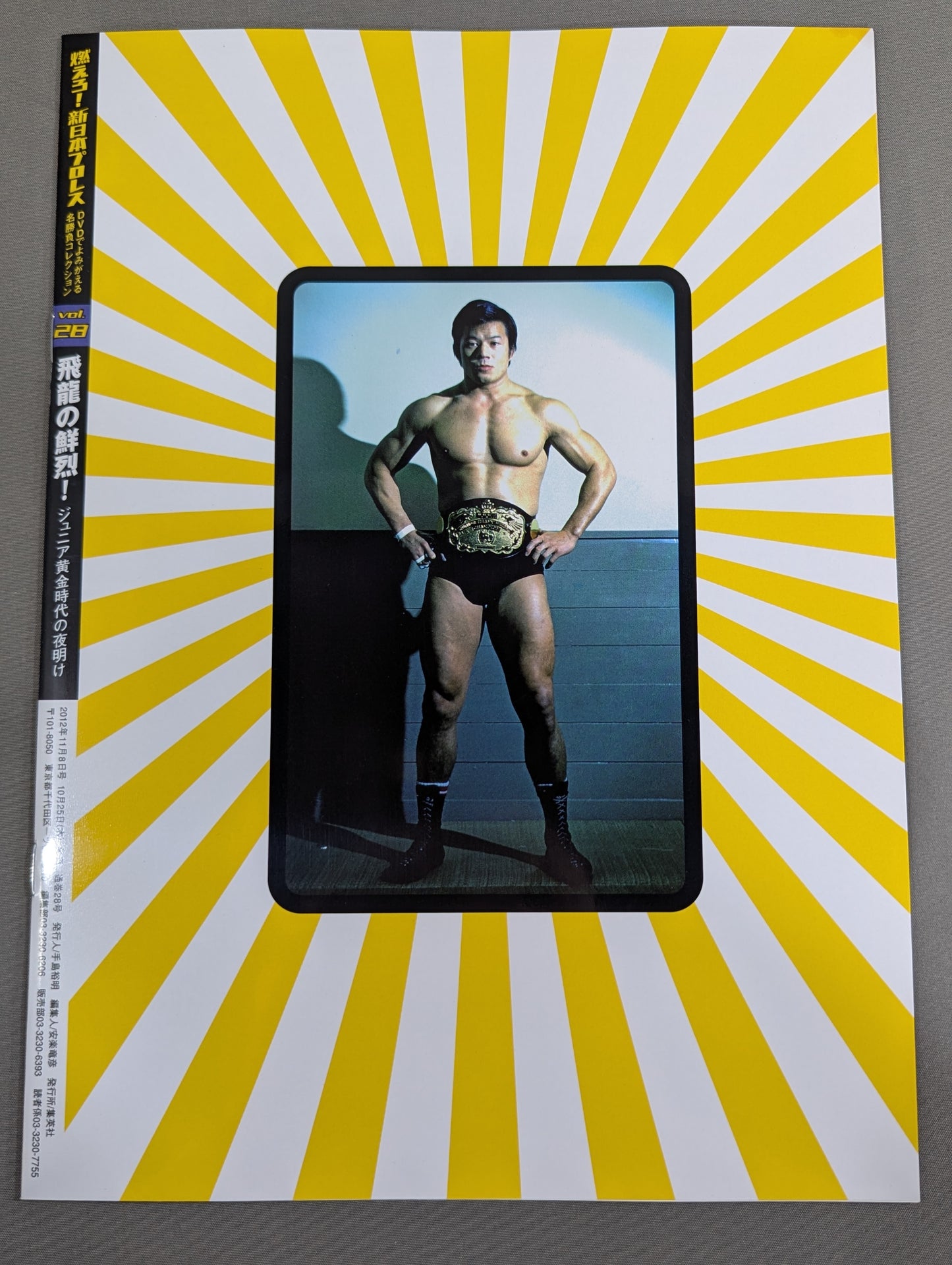 燃えろ!新日本プロレス vol.28