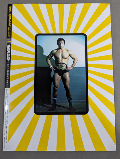 燃えろ!新日本プロレス vol.28
