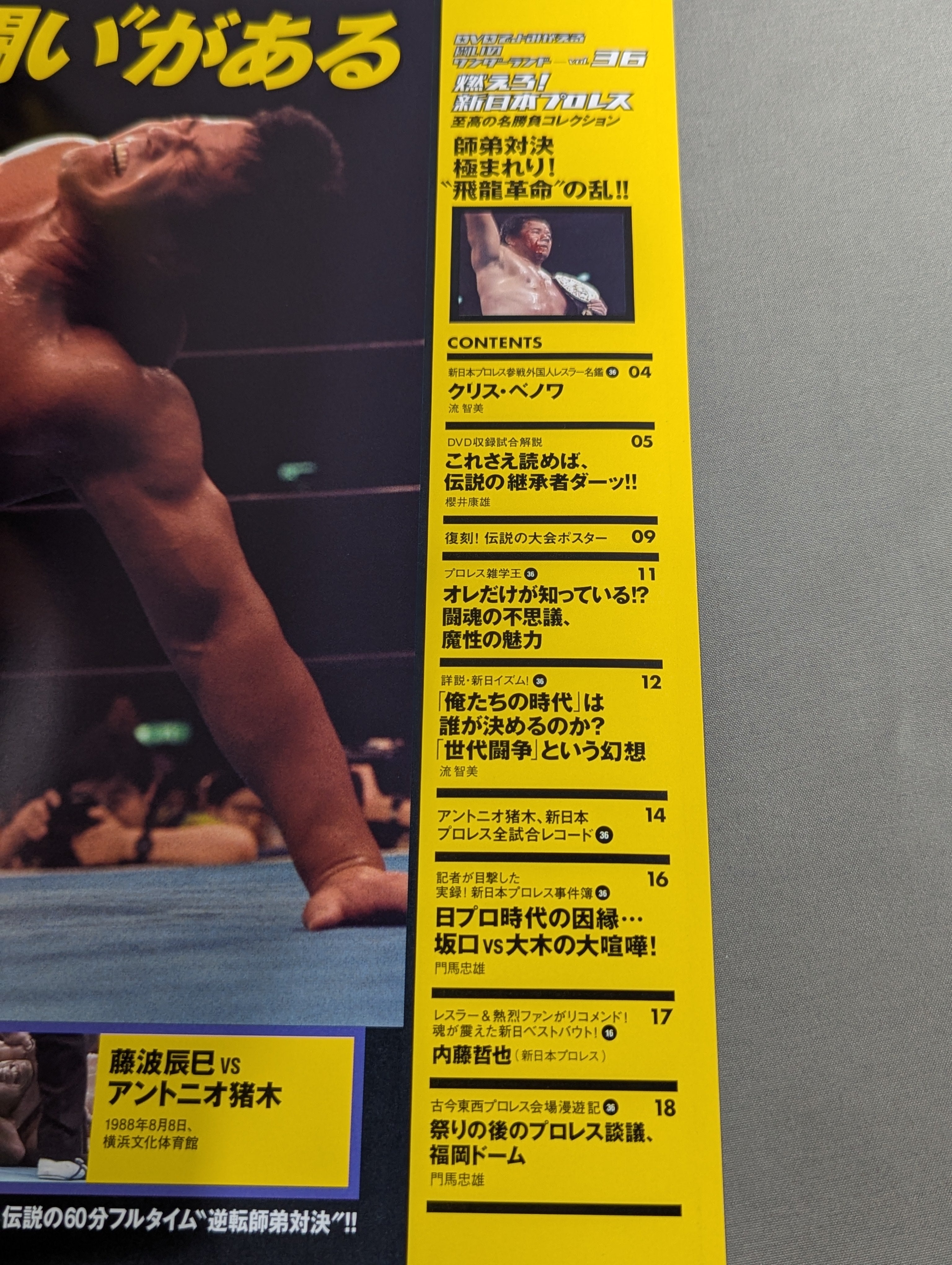 燃えろ!新日本プロレス vol.36 – 闘道館
