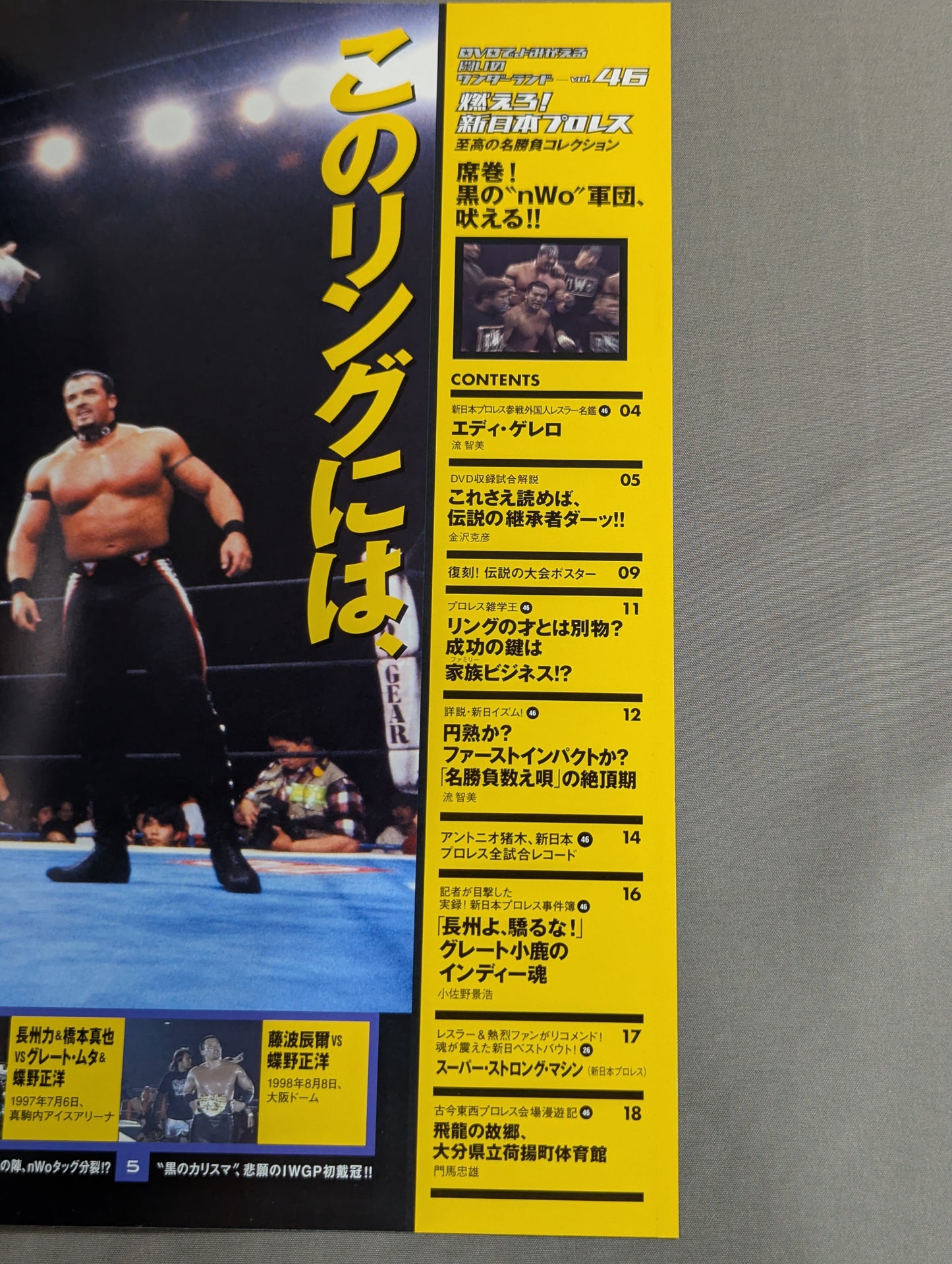 燃えろ!新日本プロレス vol.46
