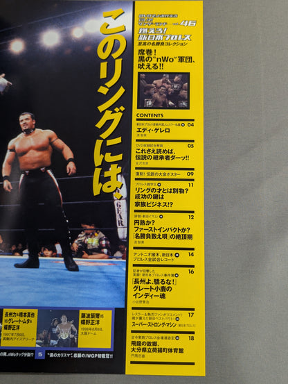 燃えろ!新日本プロレス vol.46