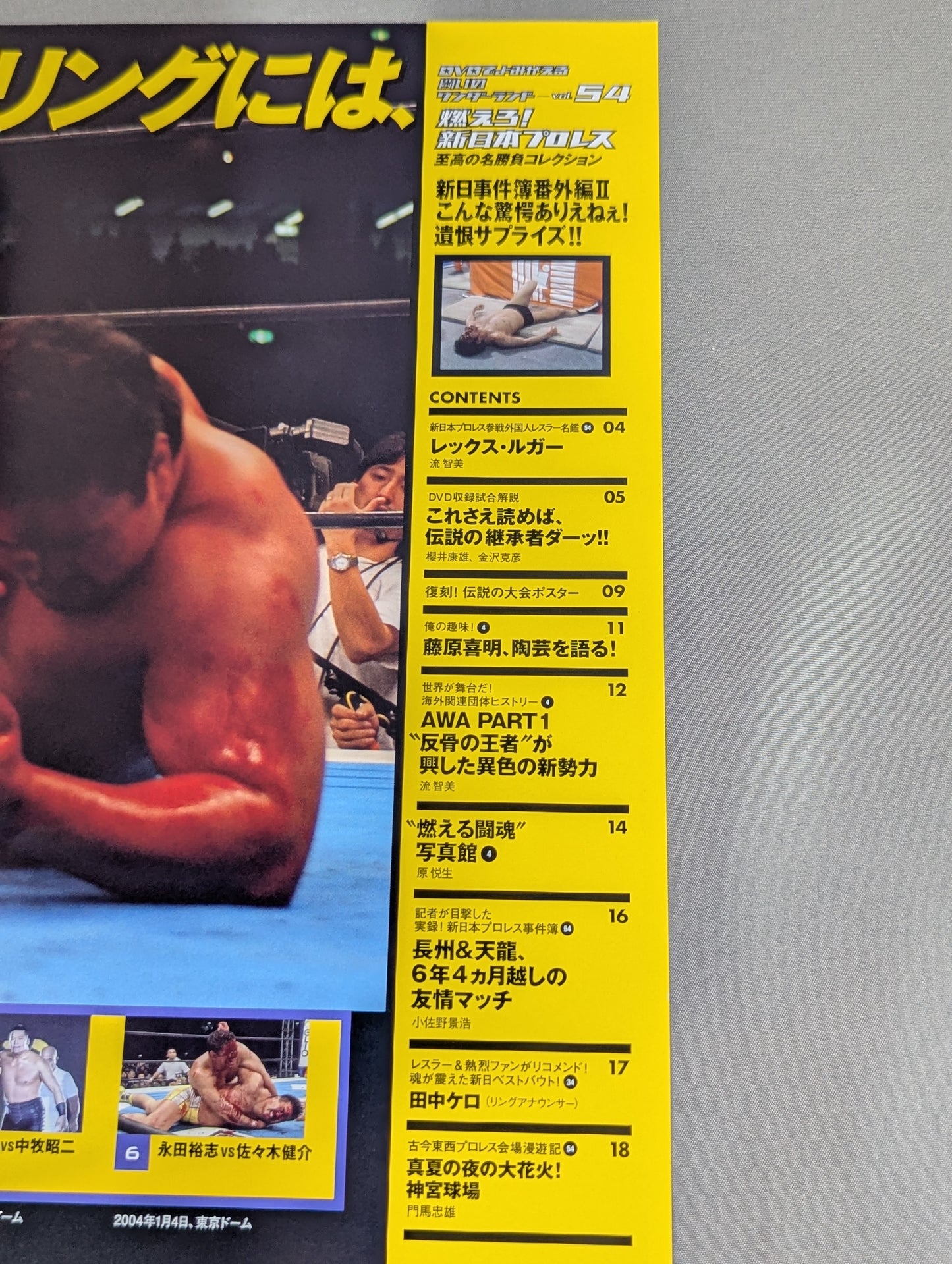 燃えろ!新日本プロレス vol.54