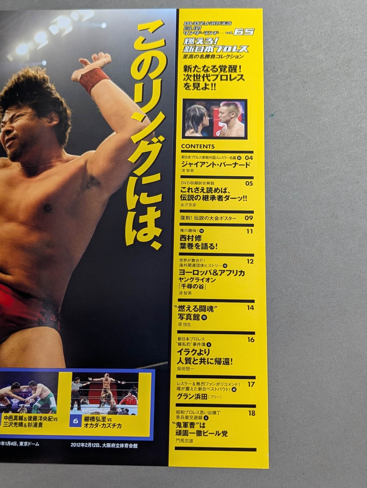 燃えろ!新日本プロレス vol.65