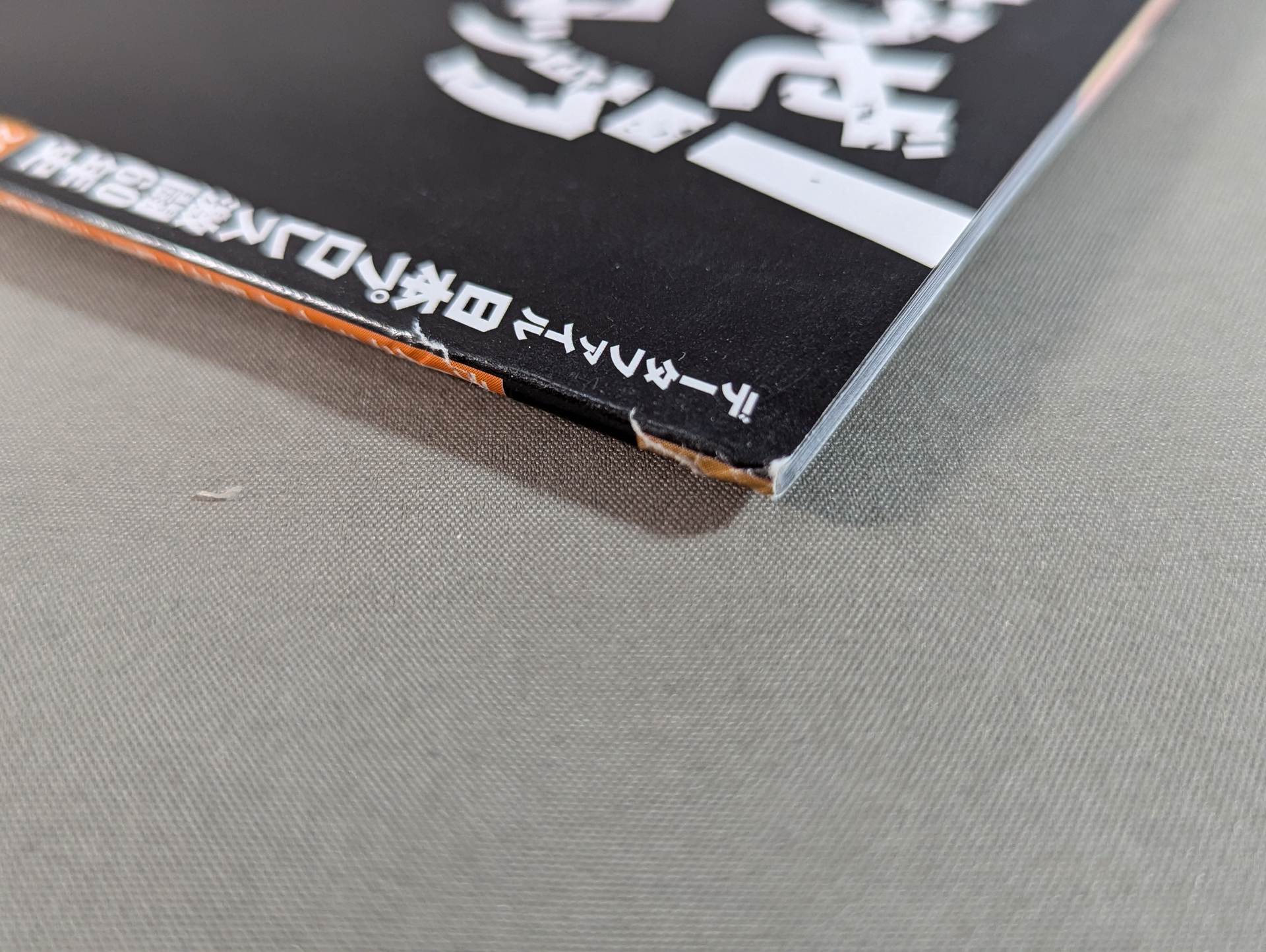 日本プロレス激闘60年史 (28) – 闘道館