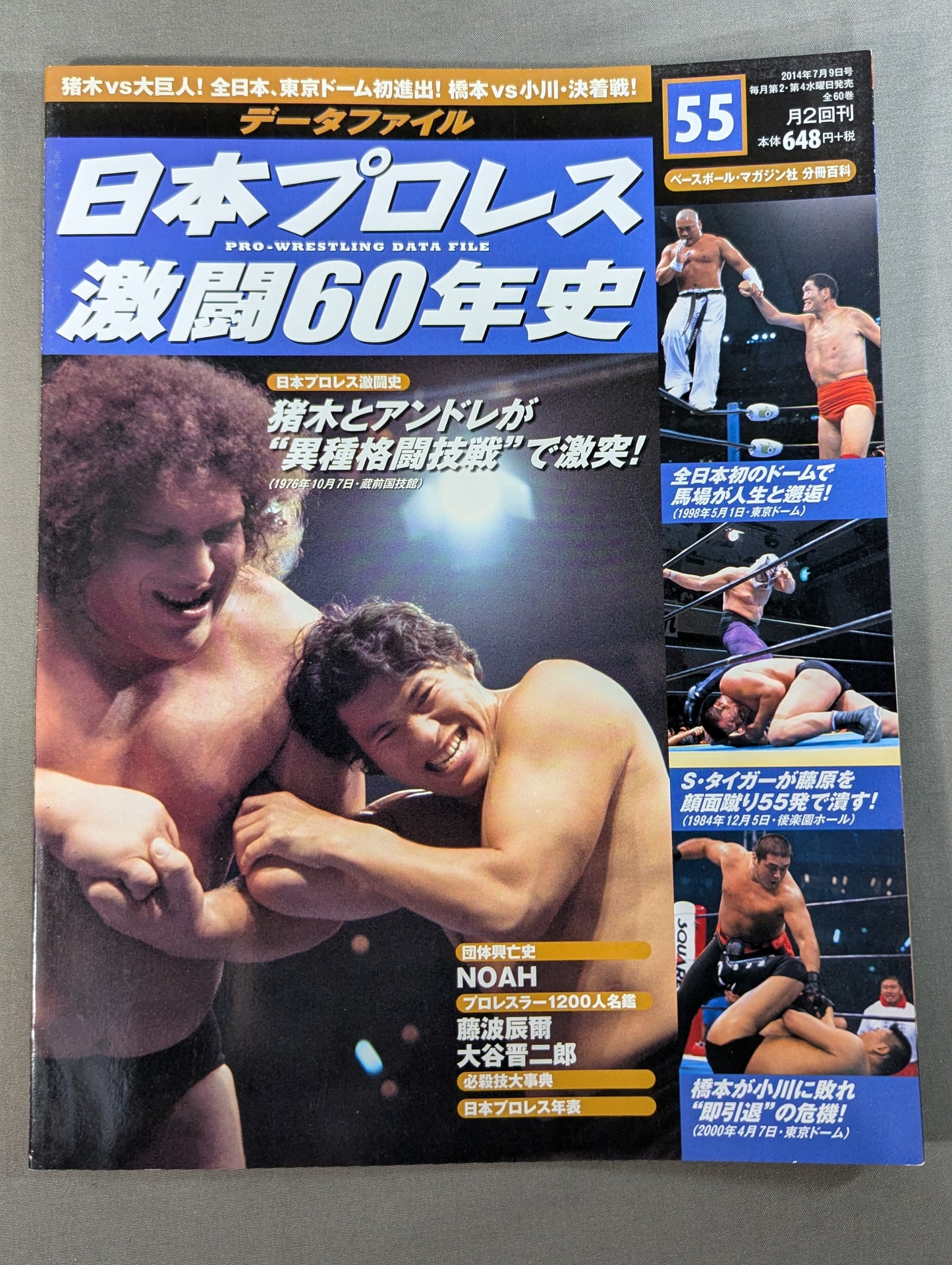 日本プロレス激闘60年史 (55)
