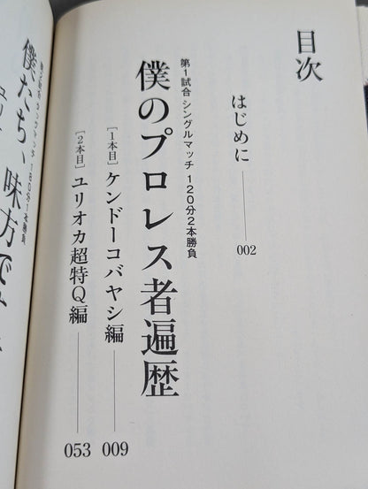 僕たち､プロレスの味方です