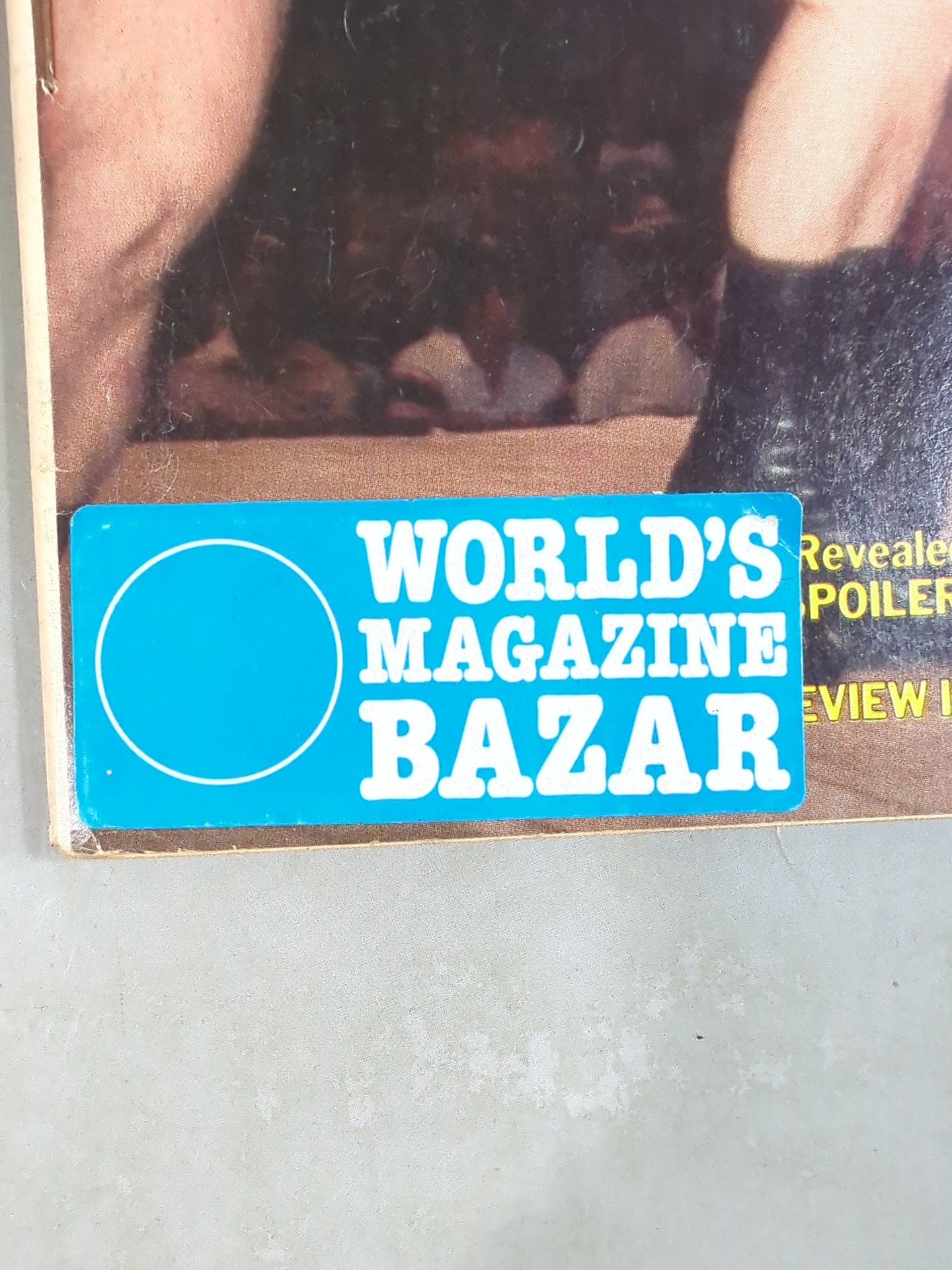 SPORTS REVIEW Wrestling 1984年10月号