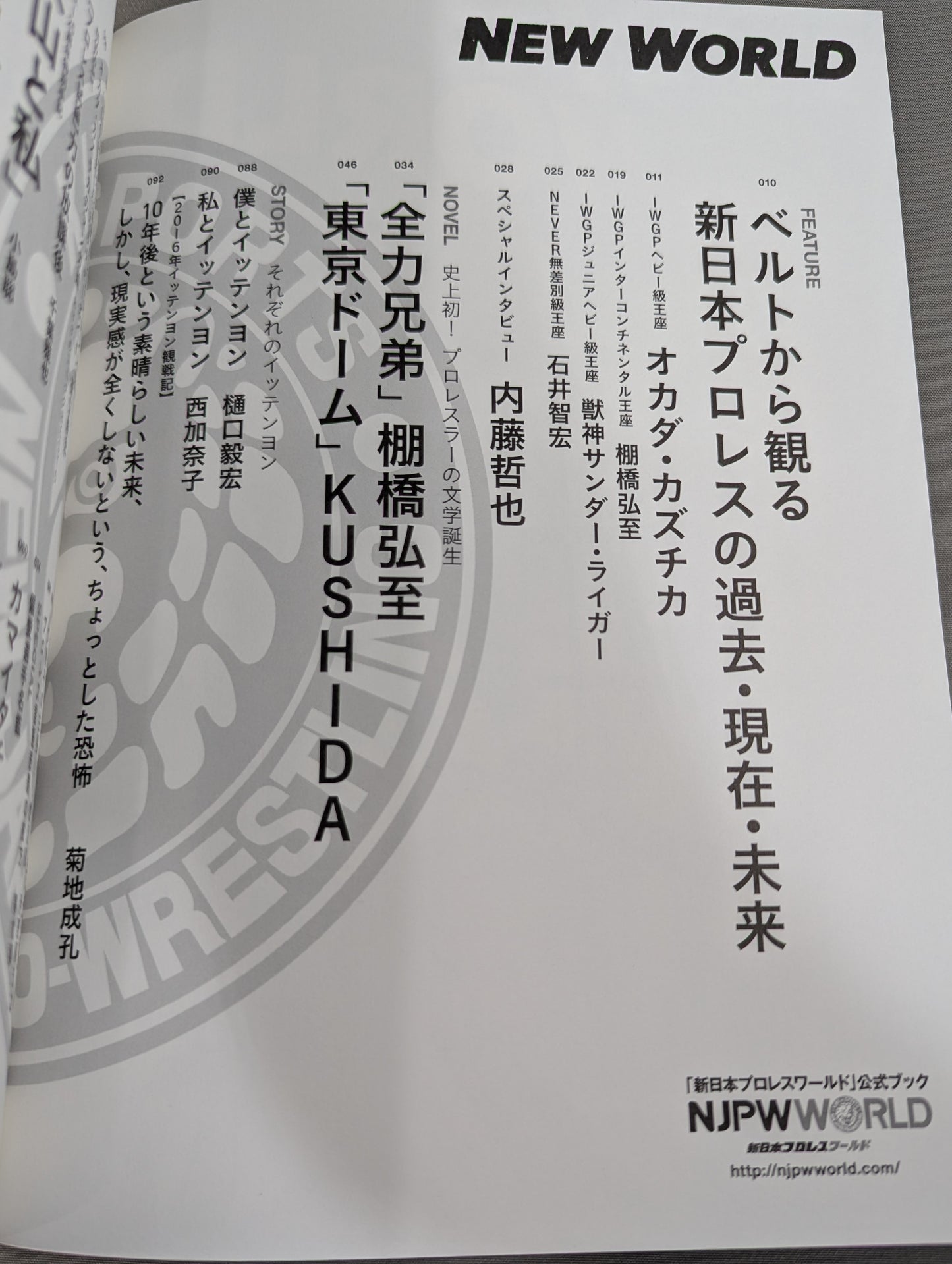 "New Japan Pro Wrestling  World" Official Book NEW WORLD