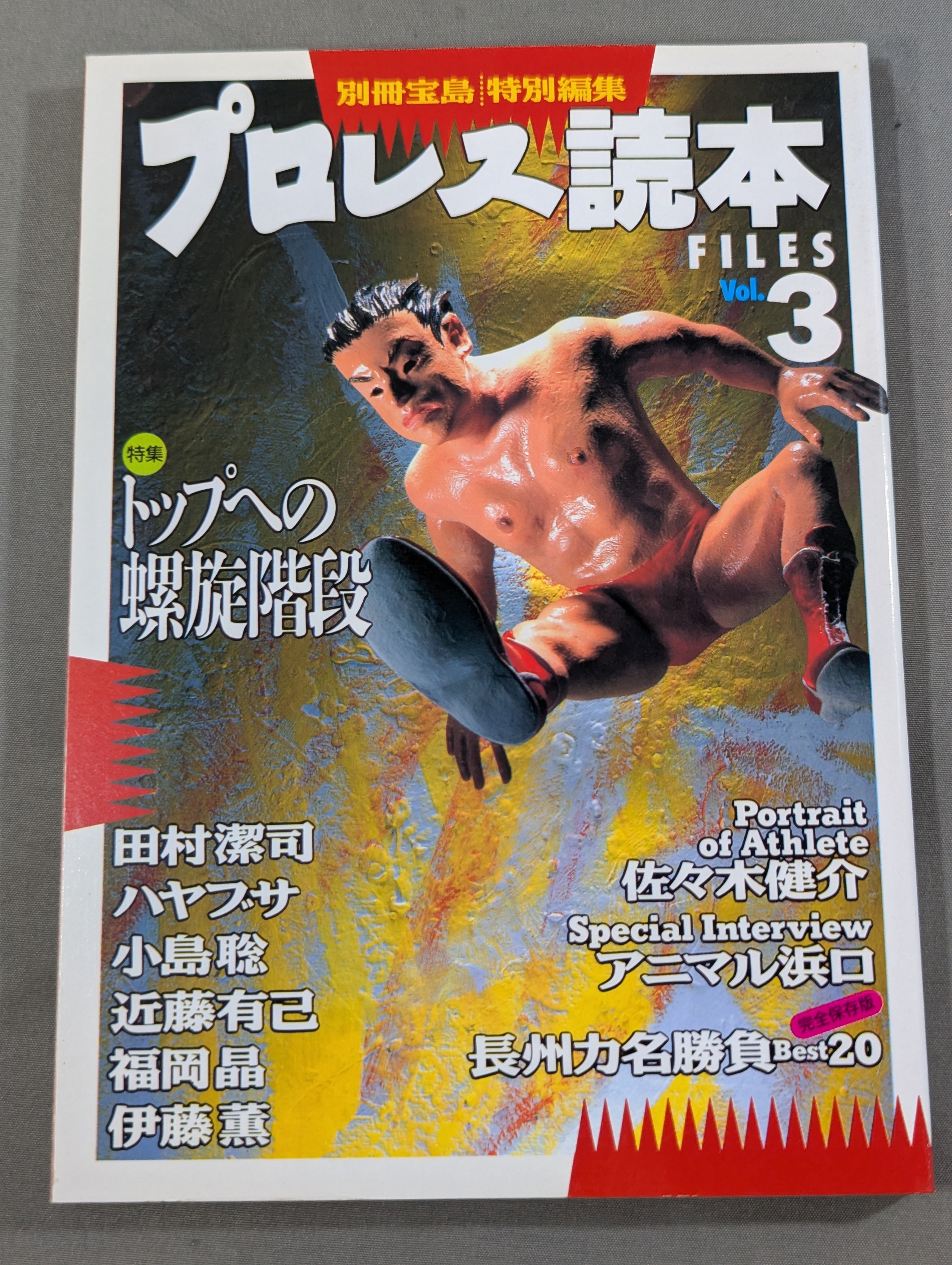 別冊宝島 特別編集 プロレス読本Files Vol.3 – 闘道館