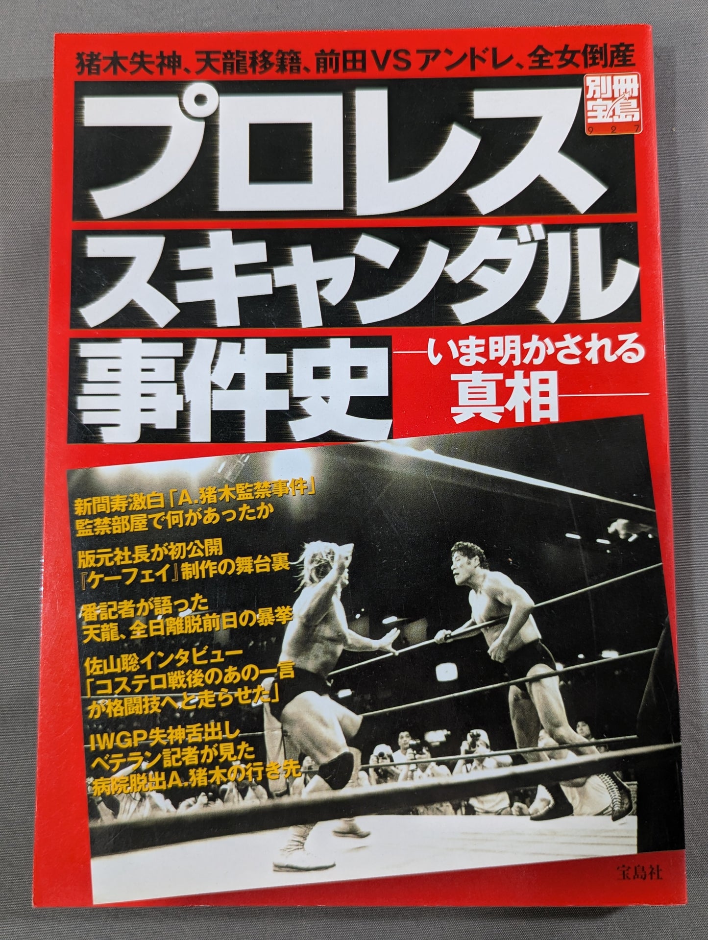 Separate volume Treasure Island 927 Pro Wrestling  Scandal Case History - The Truth Now Revealed -