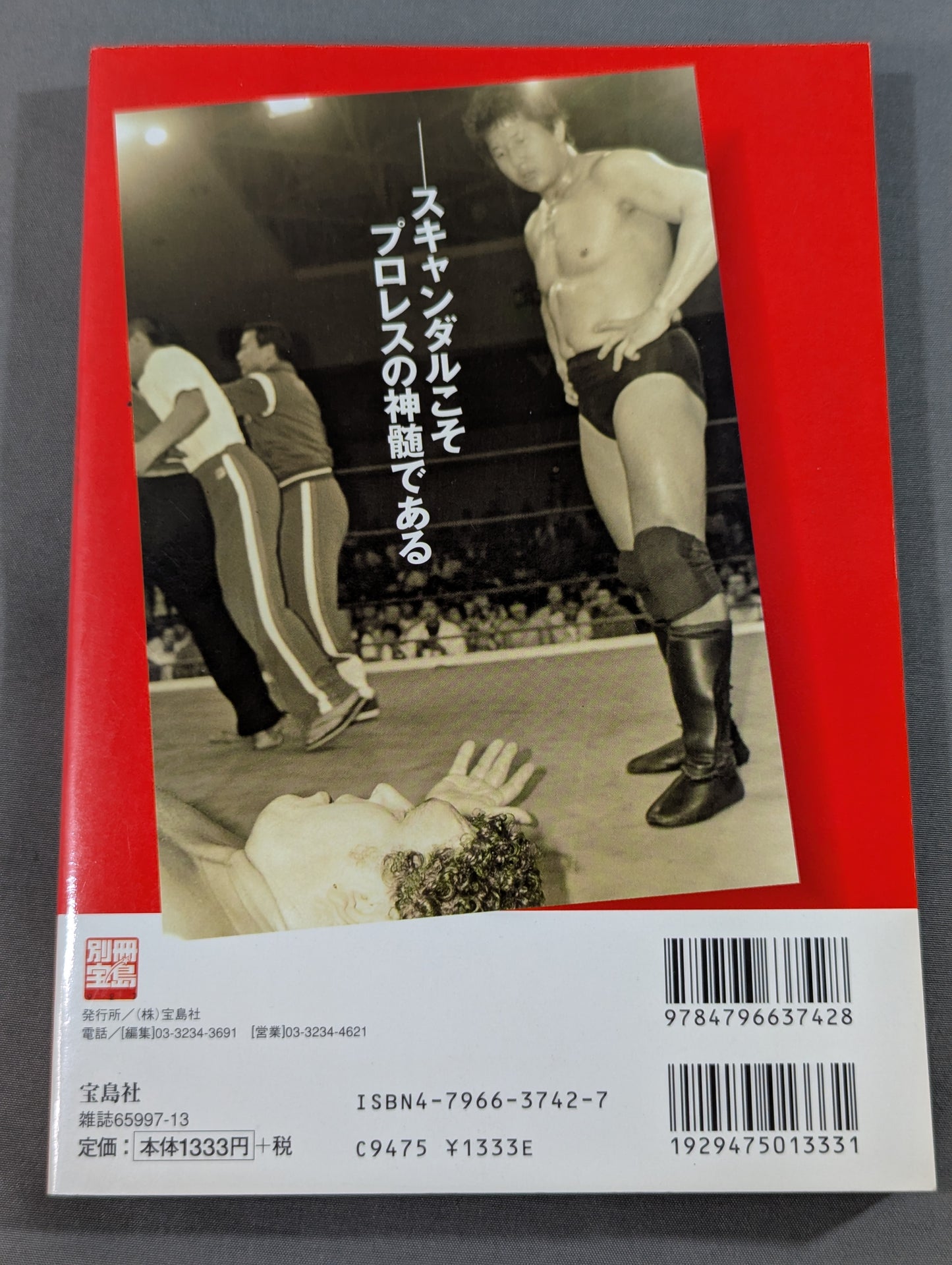 Separate volume Treasure Island 927 Pro Wrestling  Scandal Case History - The Truth Now Revealed -