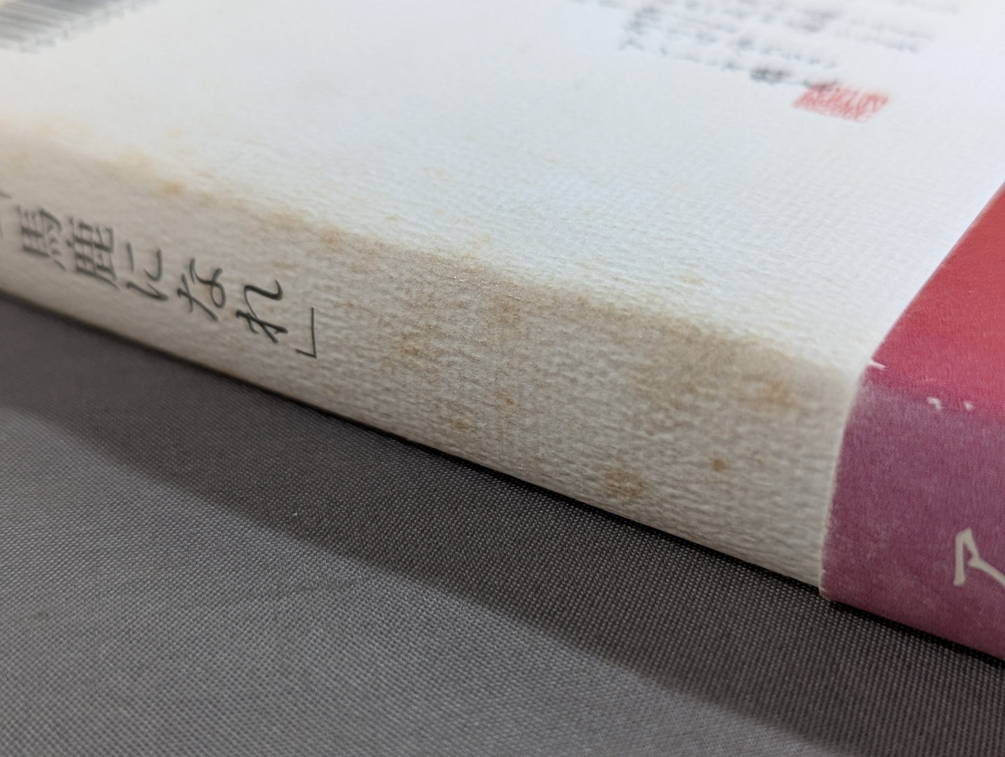Inoki 's poetry collection "Be an idiot"