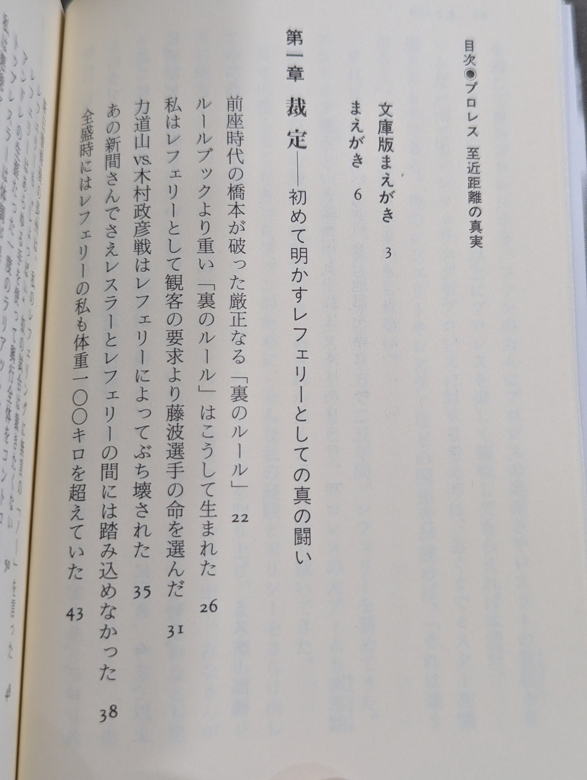 プロレス  至近距離の真実  レフェリーだけが知っている表と裏