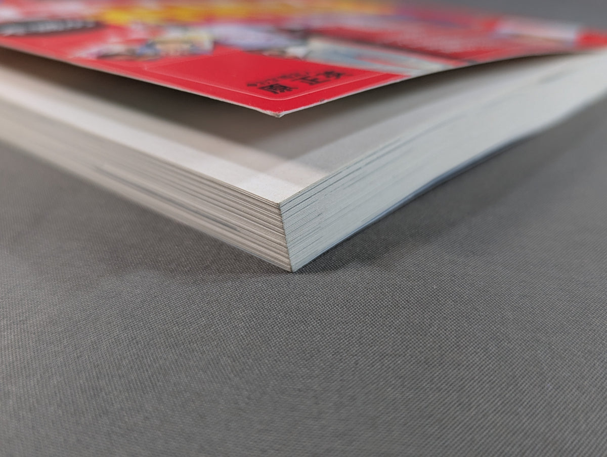 Women's Pro Wrestling  Immortal Treasure Reading Book