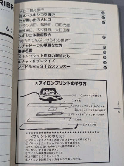 Pro Wrestling All Guidebook (2) LUCHA LIBRE Lucha Libre Fight for Freedom