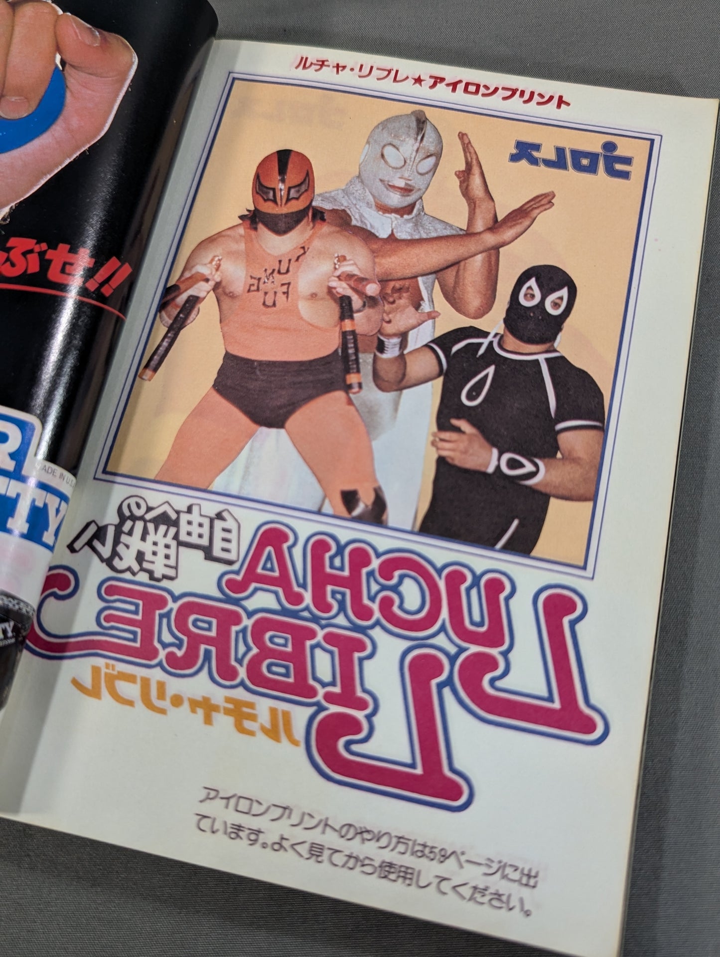Pro Wrestling All Guidebook (2) LUCHA LIBRE Lucha Libre Fight for Freedom