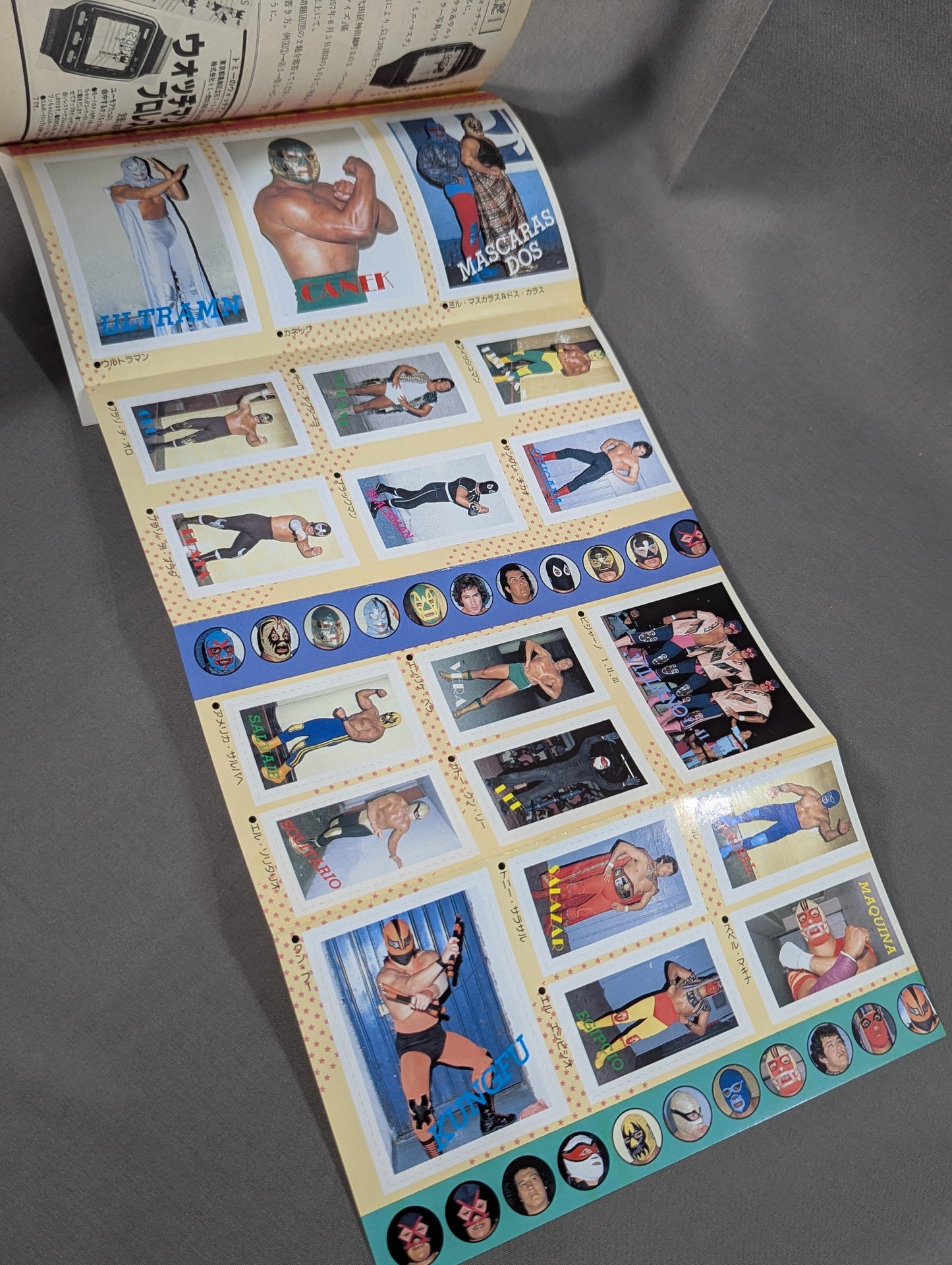 Pro Wrestling All Guidebook (2) LUCHA LIBRE Lucha Libre Fight for Freedom