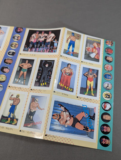 Pro Wrestling All Guidebook (2) LUCHA LIBRE Lucha Libre Fight for Freedom