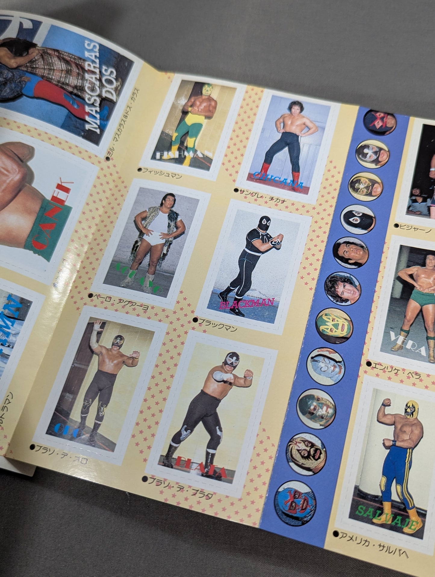 Pro Wrestling All Guidebook (2) LUCHA LIBRE Lucha Libre Fight for Freedom