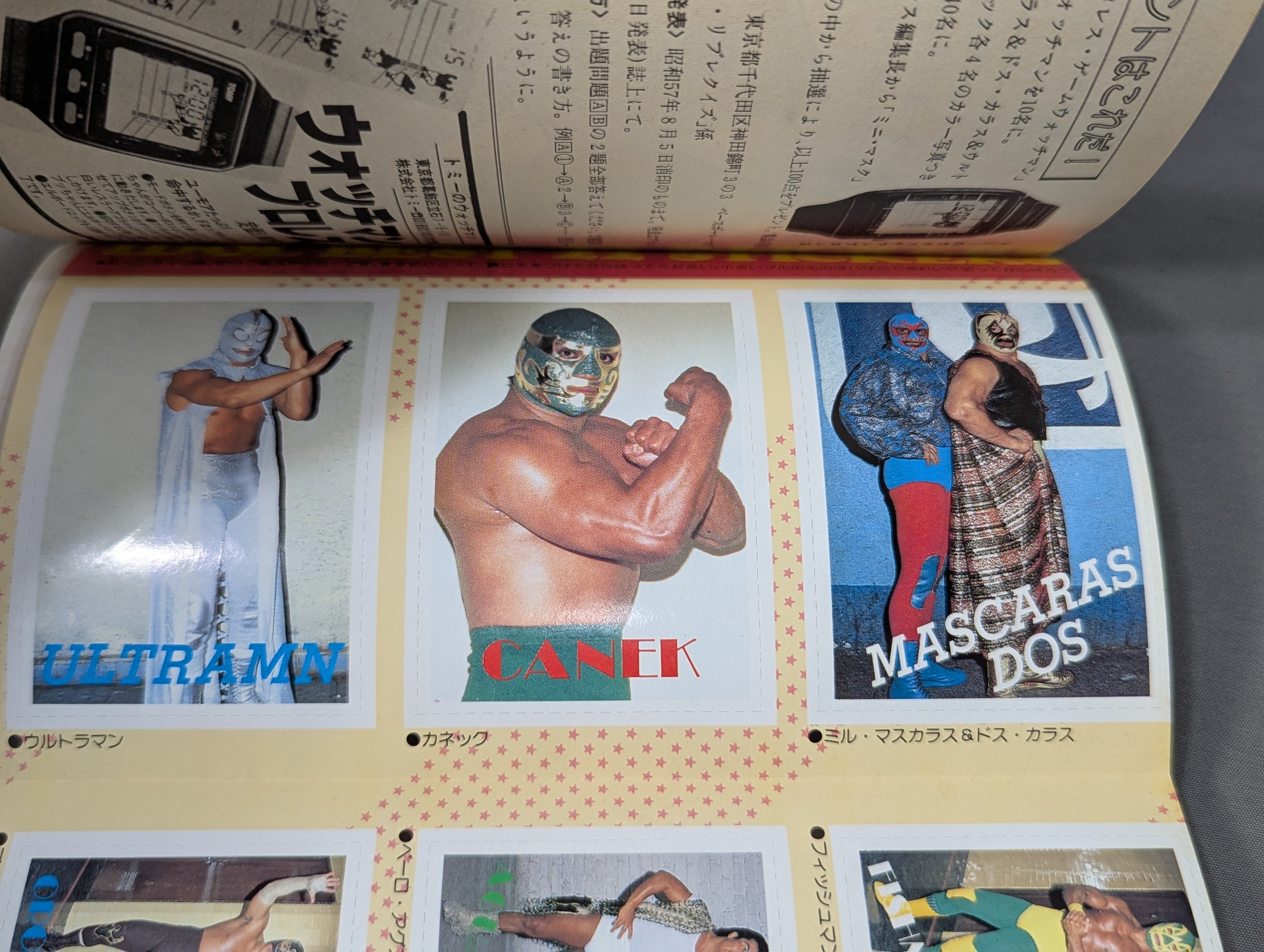 プロレス・オールガイドブック② LUCHA LIBRE ルチャ・リブレ 自由への