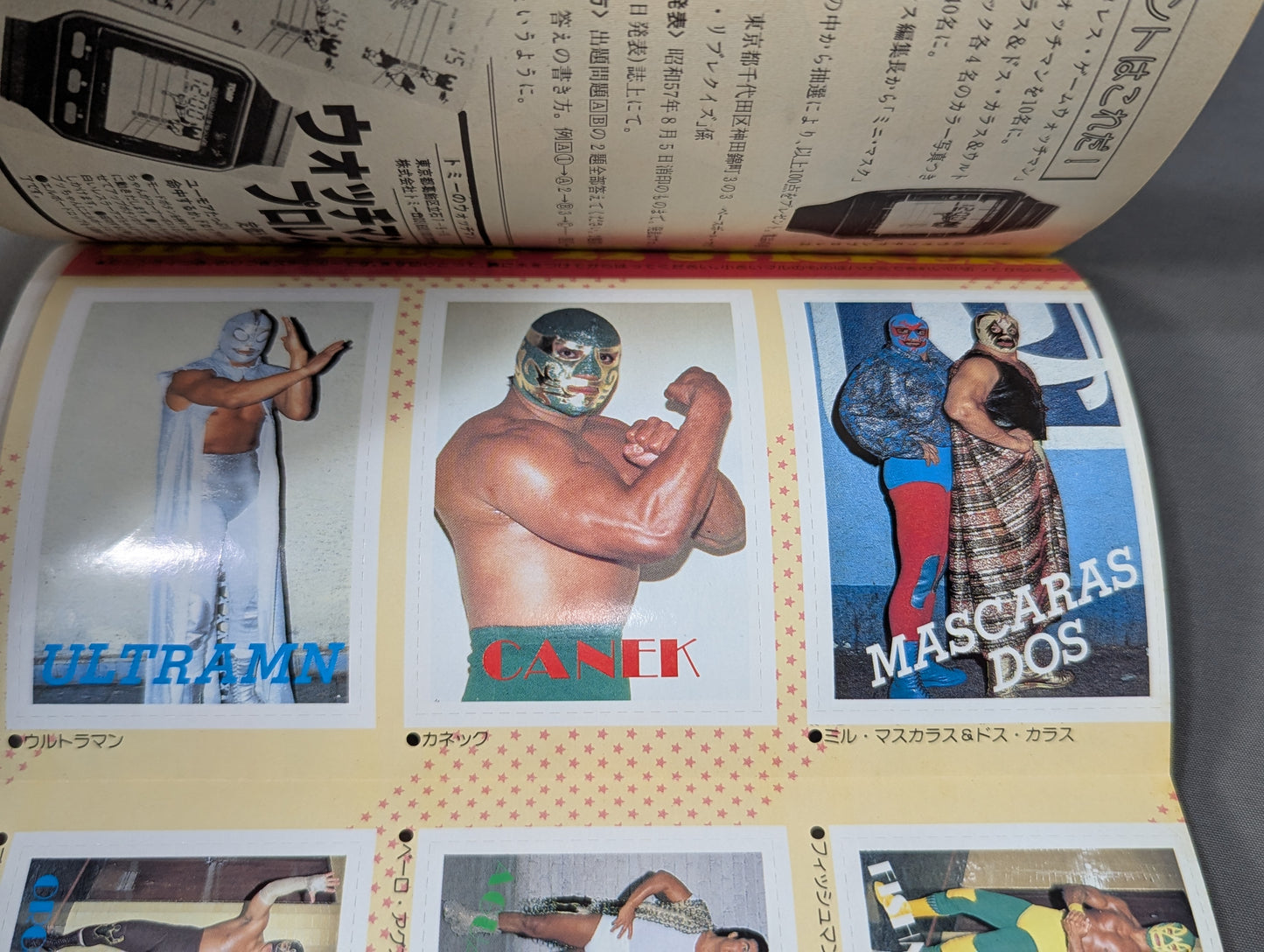 Pro Wrestling All Guidebook (2) LUCHA LIBRE Lucha Libre Fight for Freedom
