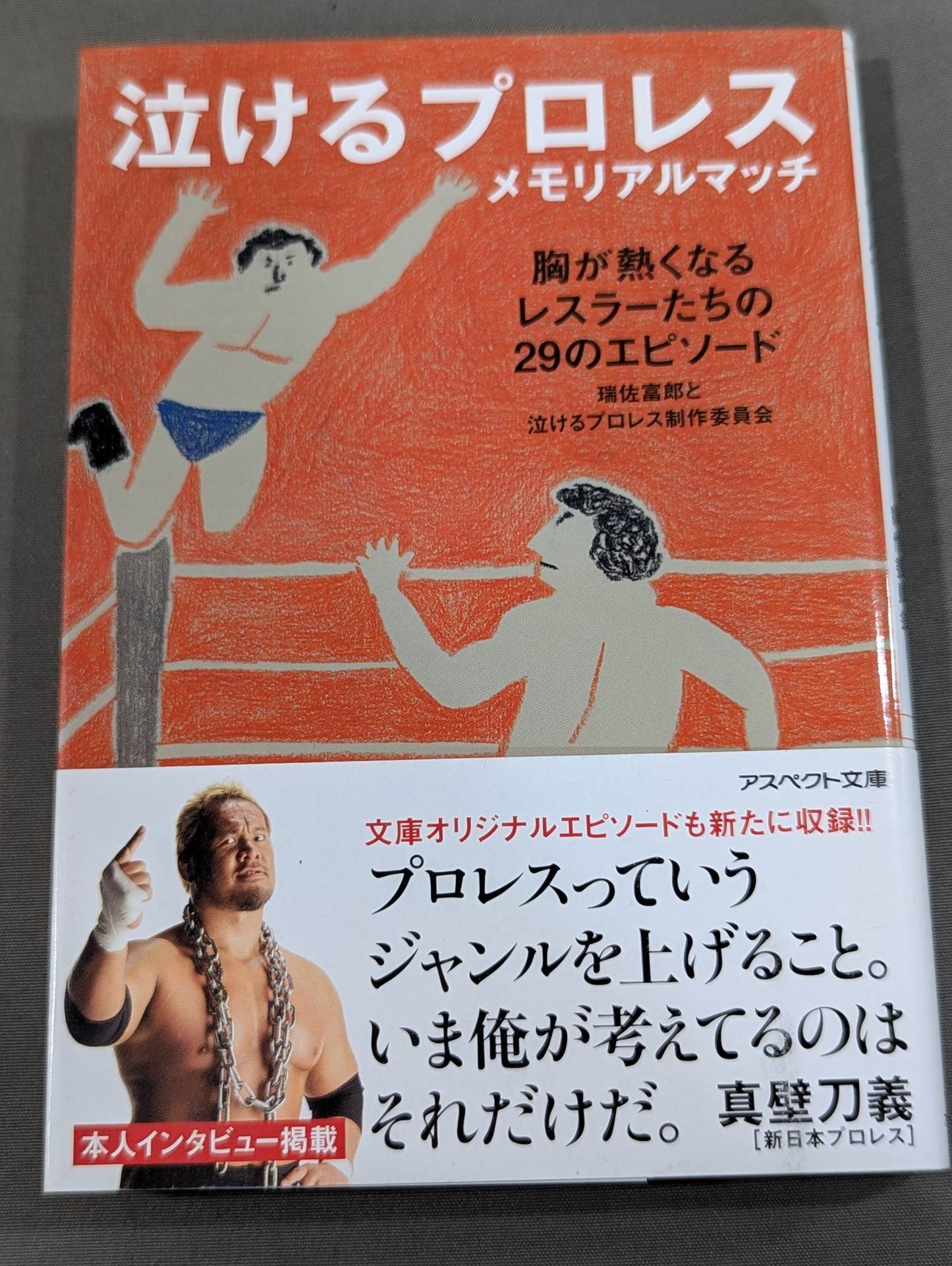 Pro Wrestling  Memorial Match 29 Episodes of Heart-Warming Wrestlers