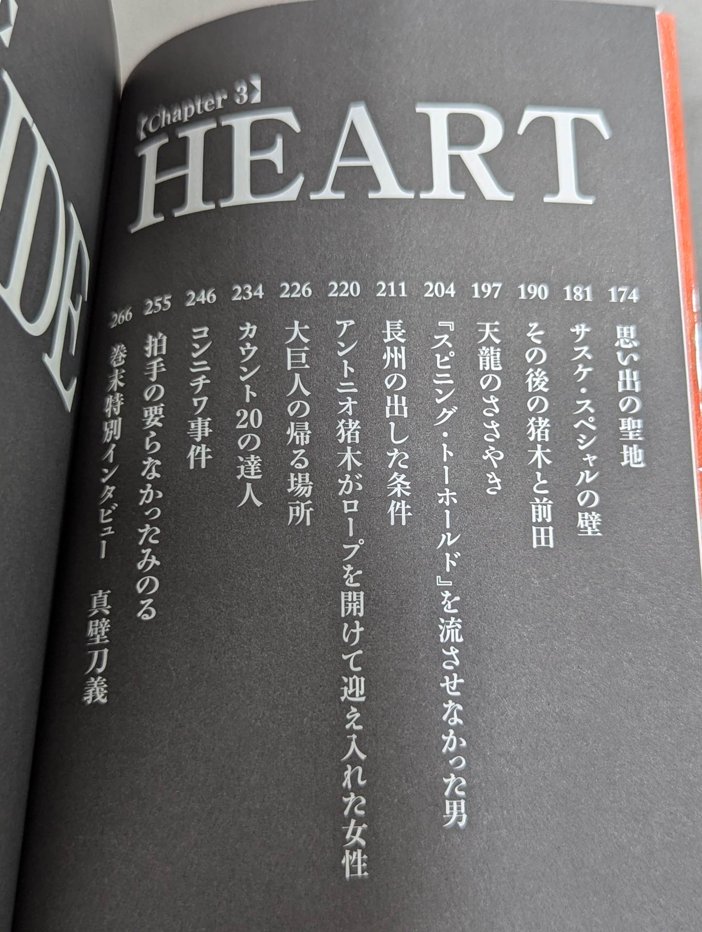 Pro Wrestling  Memorial Match 29 Episodes of Heart-Warming Wrestlers