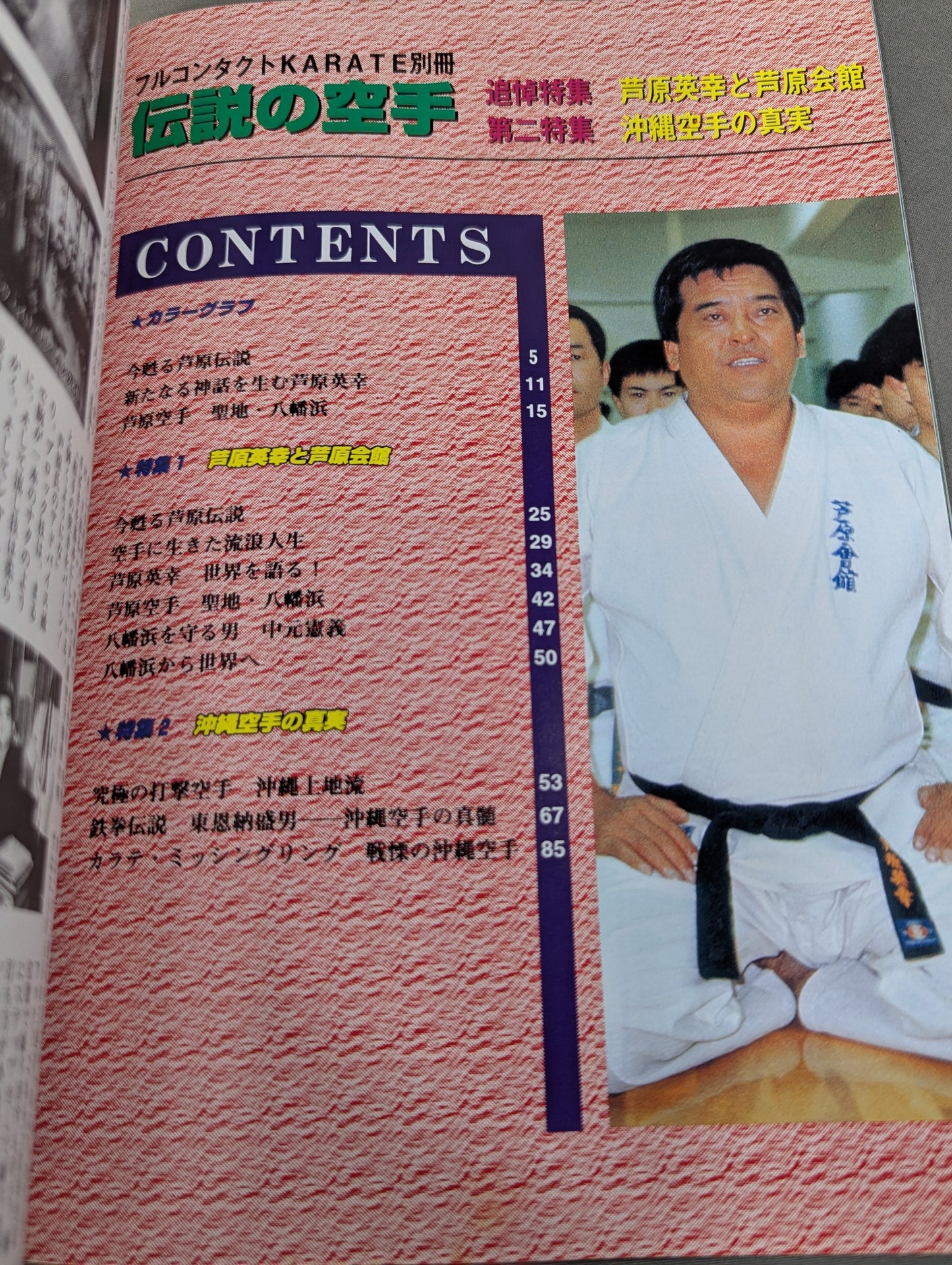 The legendary KARATE  Hideyuki Ashihara and the Ashihara Kaikan