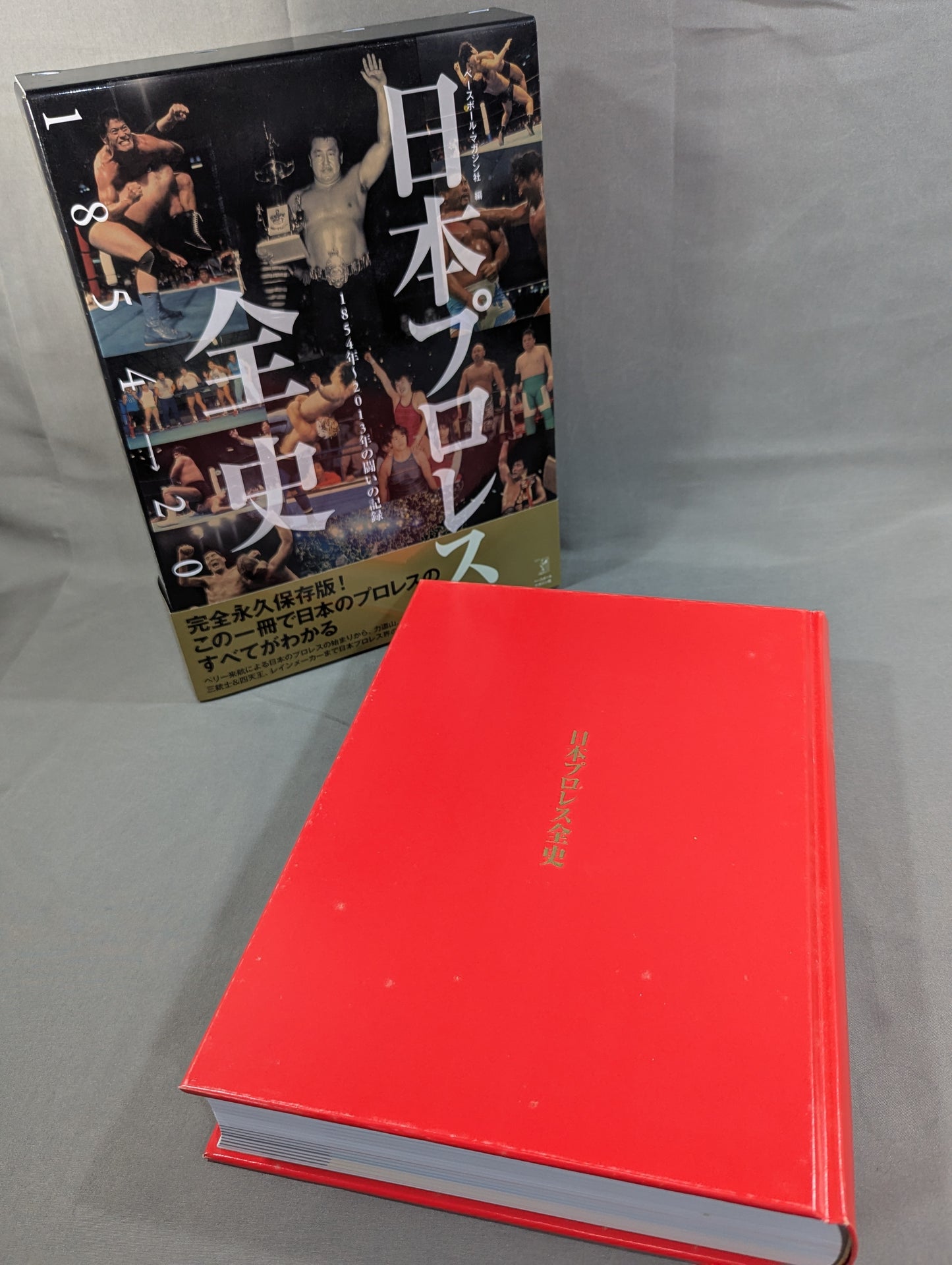 日本プロレス全史  1854～2013年の闘いの記録