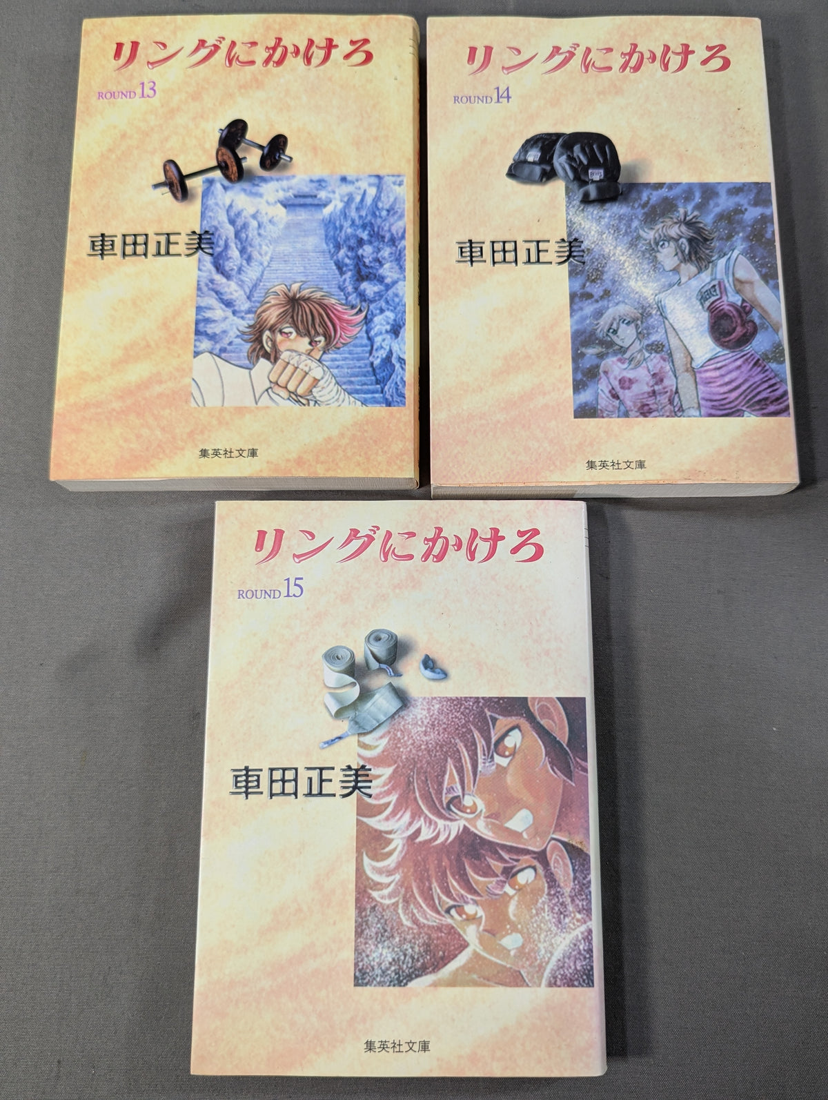 【文庫版・全15巻セット】リングにかけろ