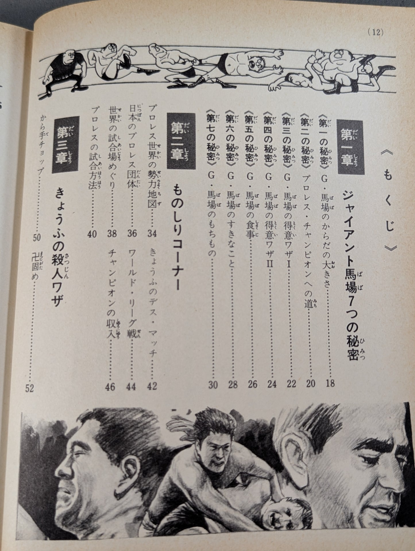 プロレス入門 小学館入門百科シリーズ⑨(表紙：馬場 馬乗りチョップ)