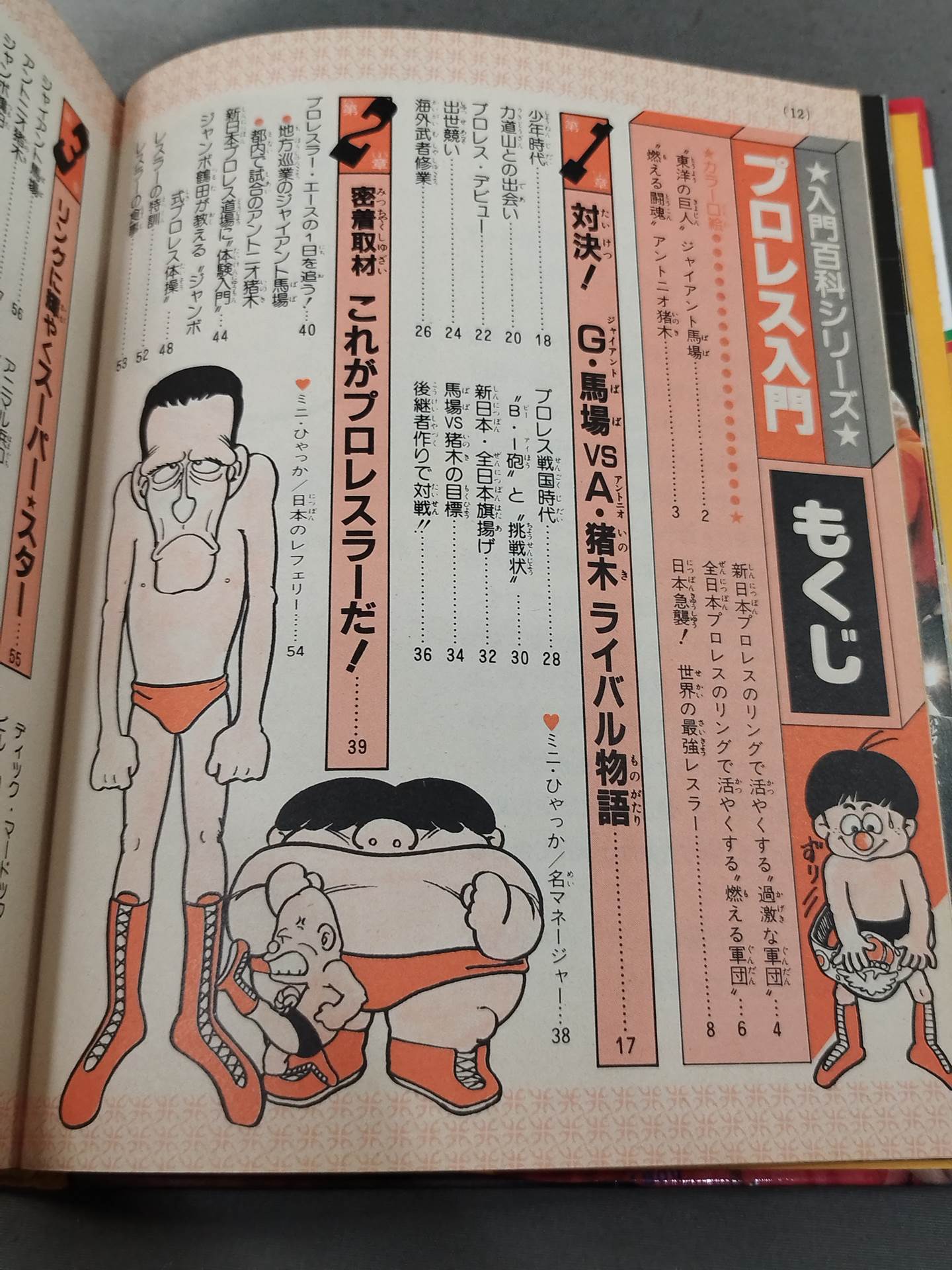 プロレス入門 小学館入門百科シリーズ 1978年発行 馬場 猪木 プロレス入門 小学館入門百科シリーズ 1978年発行 馬場 猪木