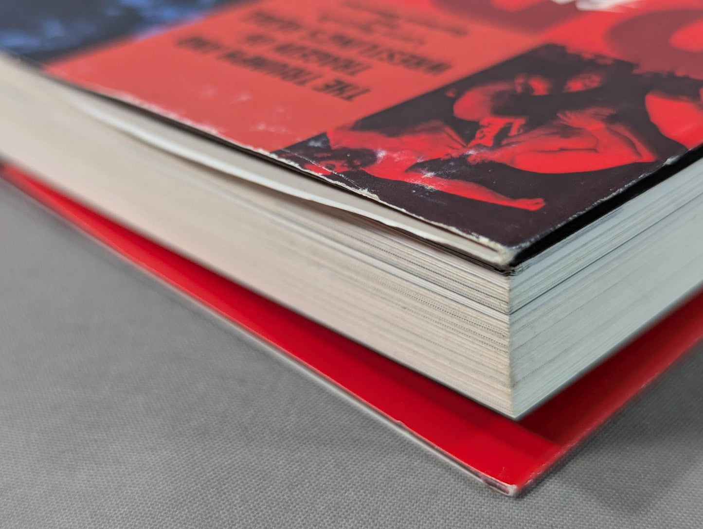 Bruiser Brody  My intellectual rebel