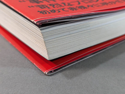 Bruiser Brody  My intellectual rebel