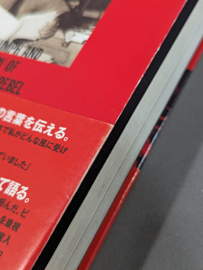 Bruiser Brody  My intellectual rebel