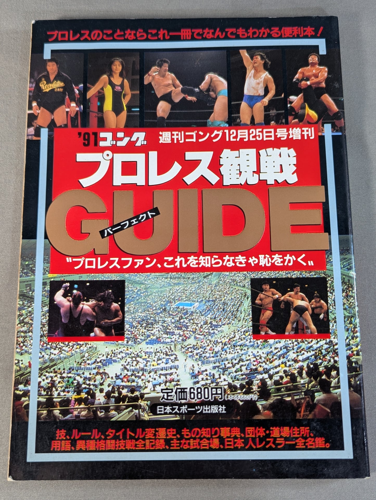 91ゴング プロレス観戦パーフェクトガイド