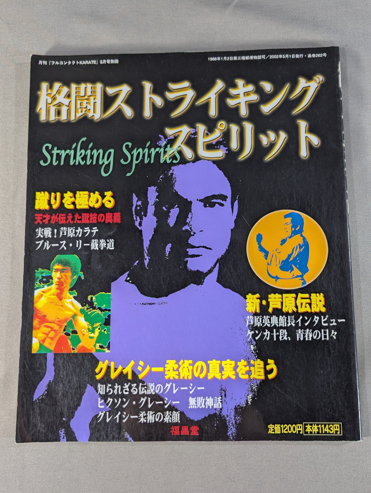 格闘ストライキング・スピリット