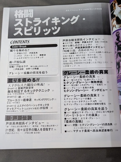 格闘ストライキング・スピリット