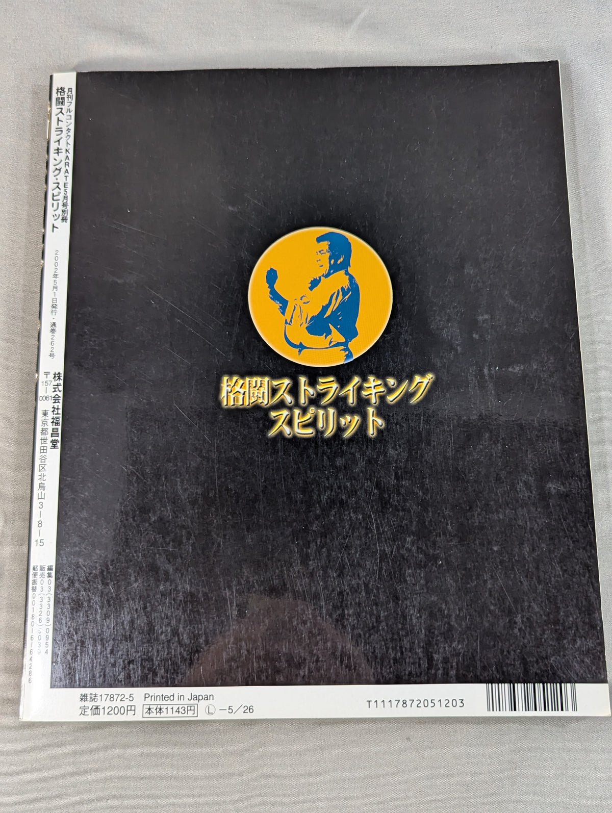 格闘ストライキング・スピリット