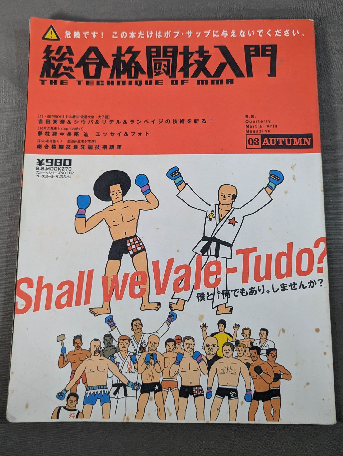 Introduction to mixed martial arts