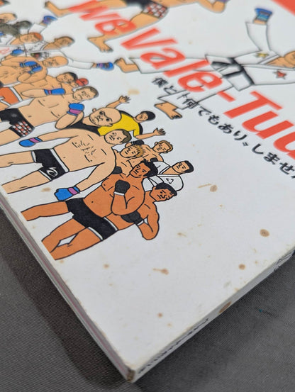 Introduction to mixed martial arts