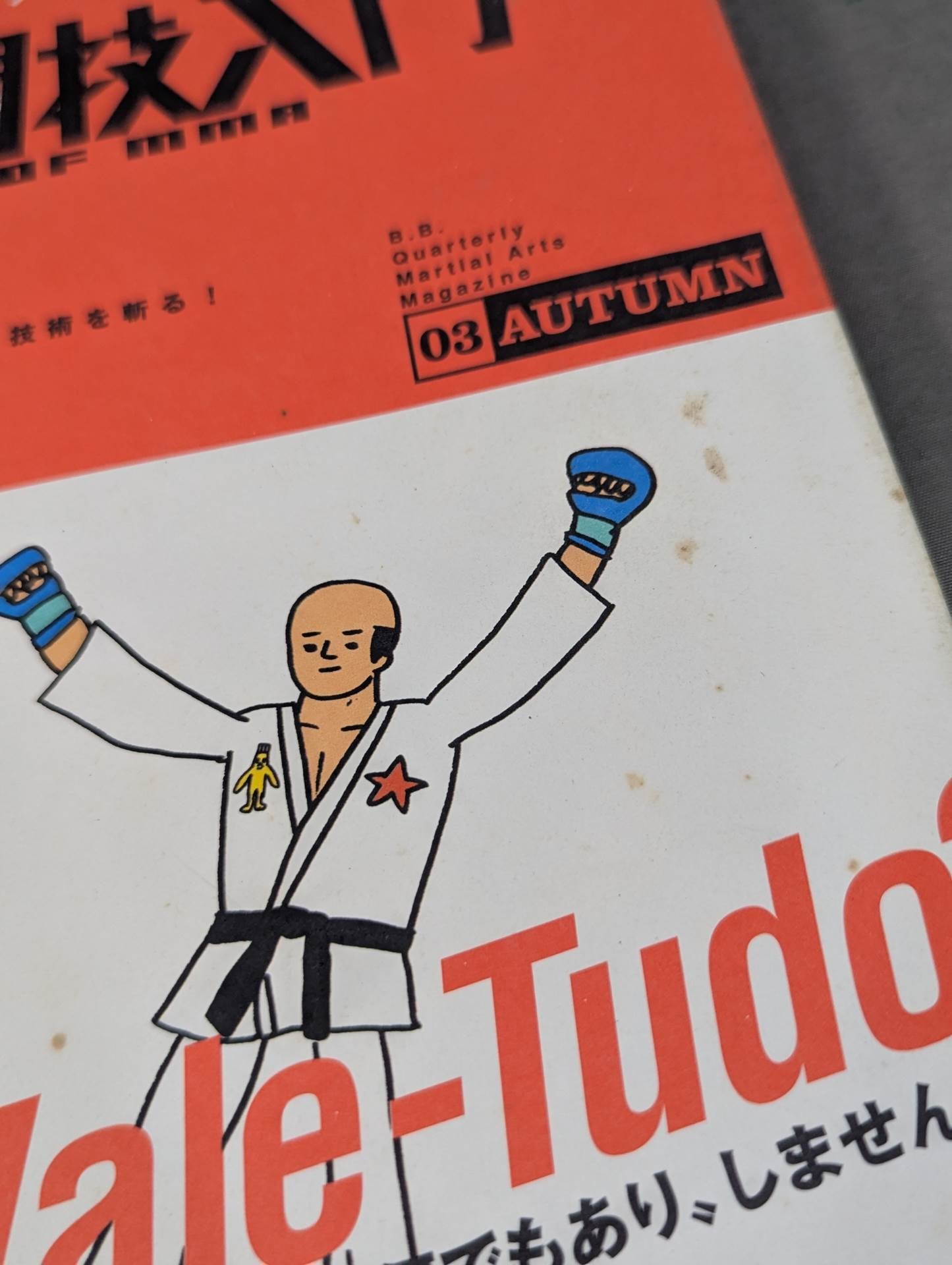 Introduction to mixed martial arts