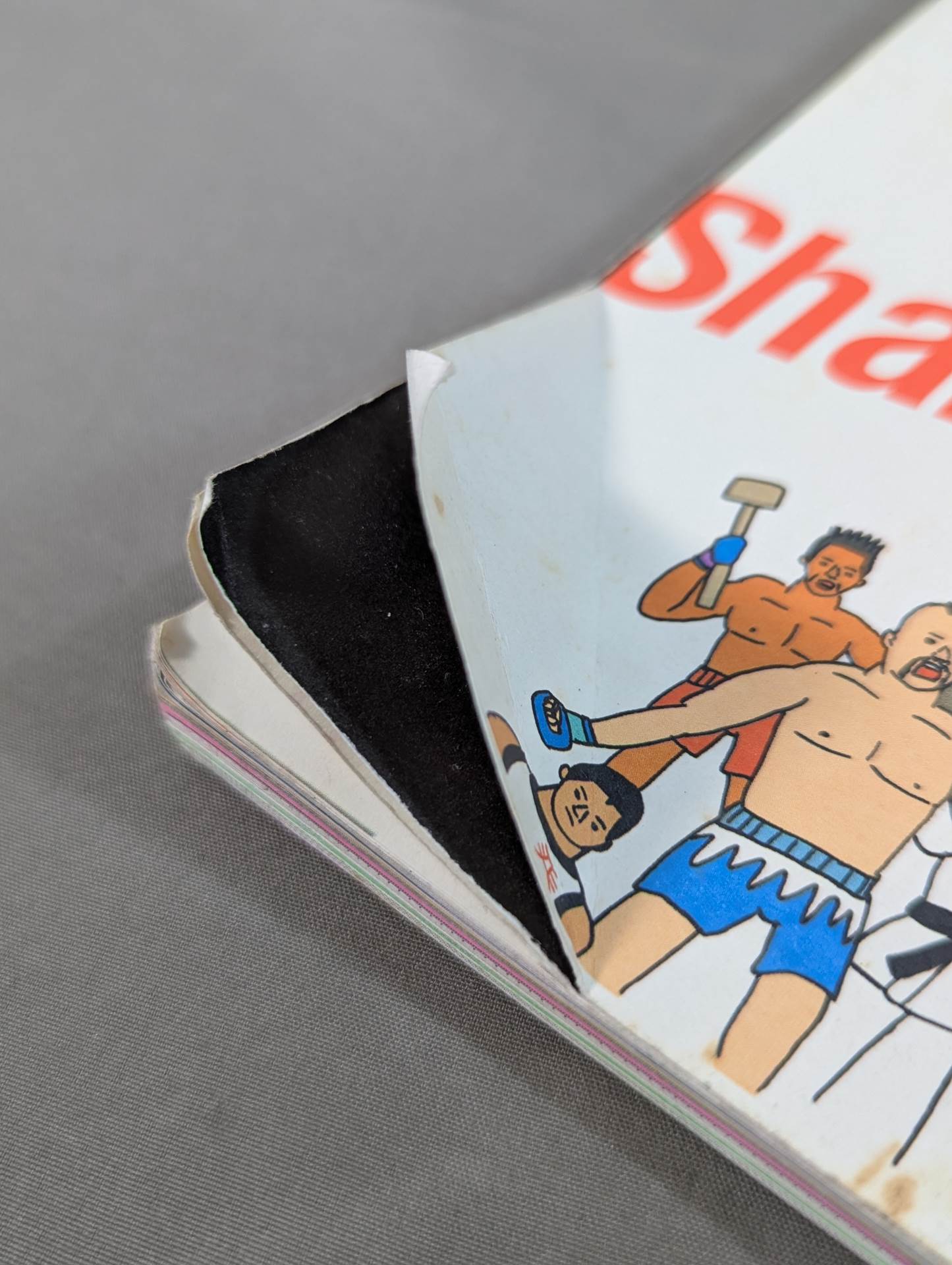 Introduction to mixed martial arts