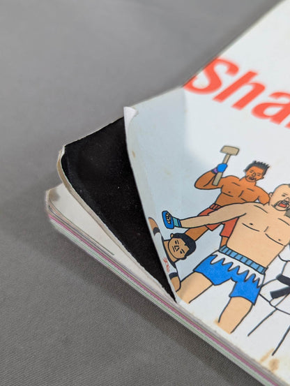 Introduction to mixed martial arts