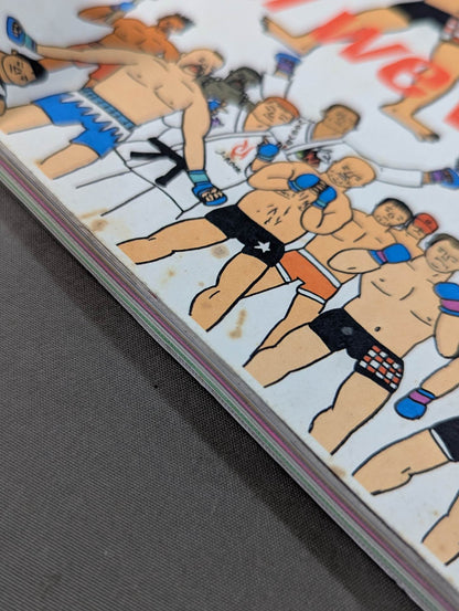 Introduction to mixed martial arts