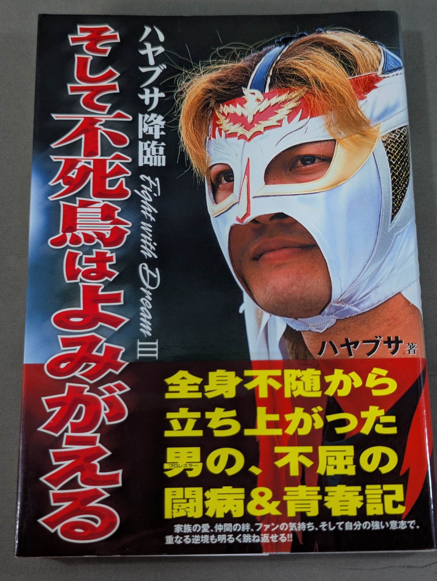 HAYABUSA  descends and the phoenix is revived