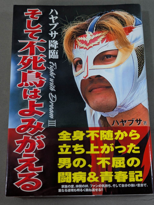 HAYABUSA  descends and the phoenix is revived